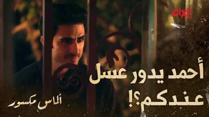 يا عسل يا قصيدة.. أحمد ما يتشاقه