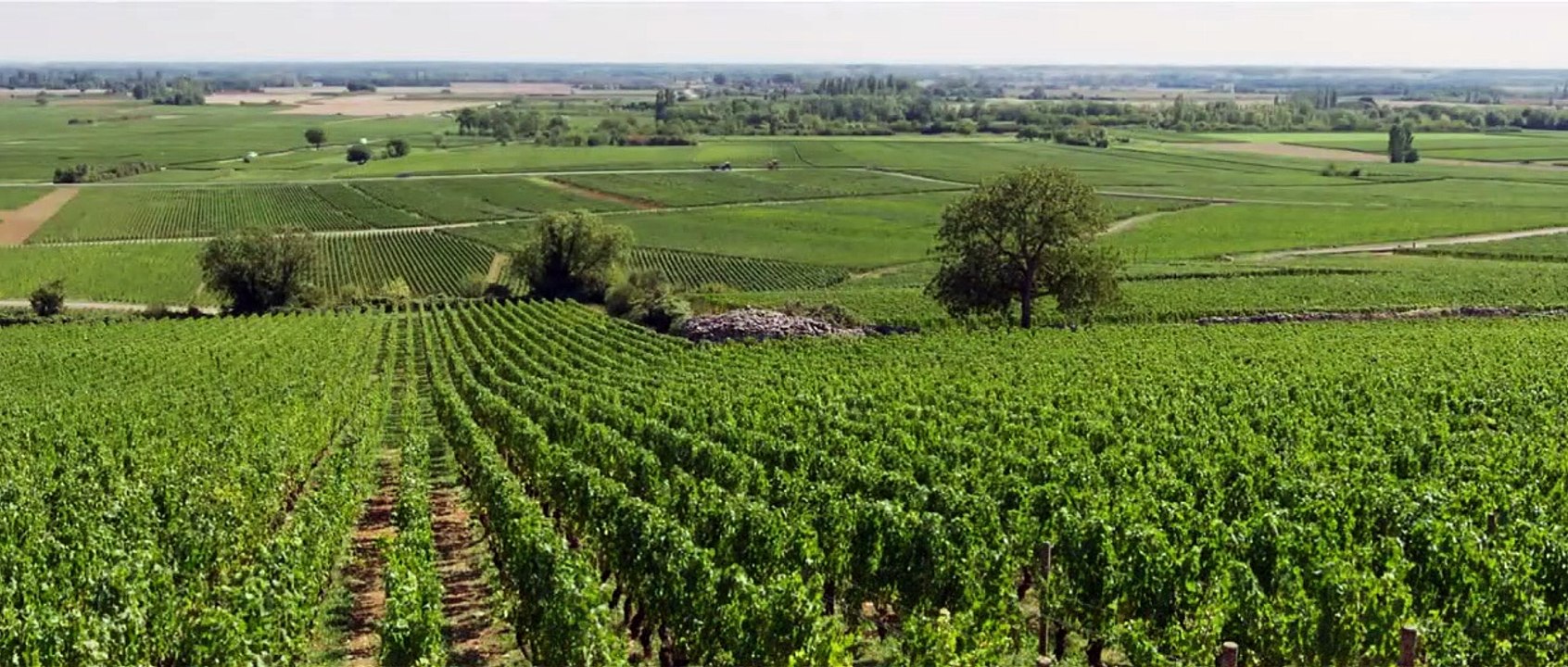 Ce qui nous lie BONUS "Ce qui nous lie est là" de Camélia Jordana