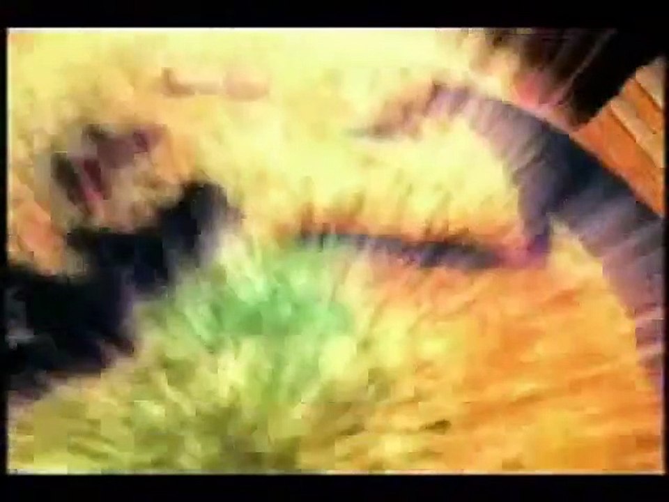 Le Petit dinosaure et la vallée des merveilles Bande-annonce VO