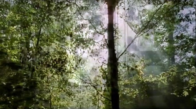 Coco Chanel & Igor Stravinsky Bande-annonce (2) VF