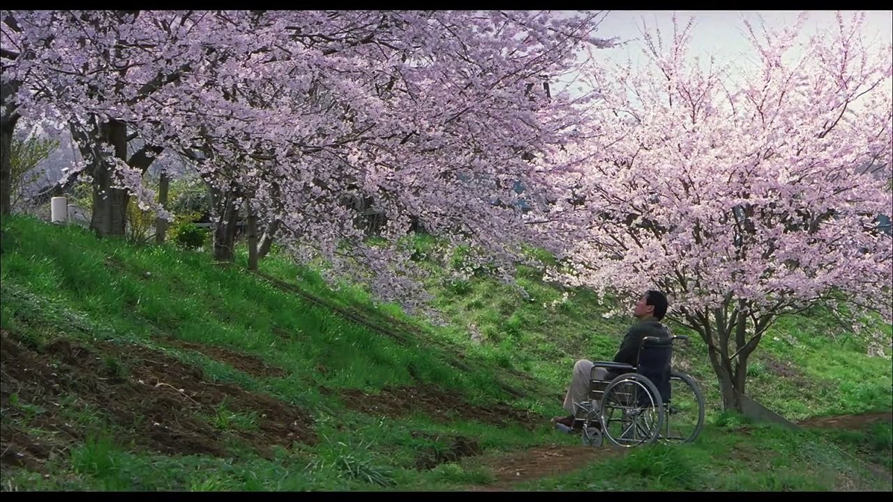 Cycle Kitano : Chemins de traverse - BANDE-ANNONCE VOST