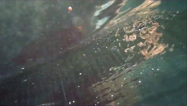 Hors de l’eau Bande-annonce VO