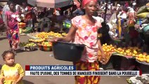 PRODUITS AGRICOLES : produits agricoles faute d'usine des tonnes de mangues finissent dans la poubelle