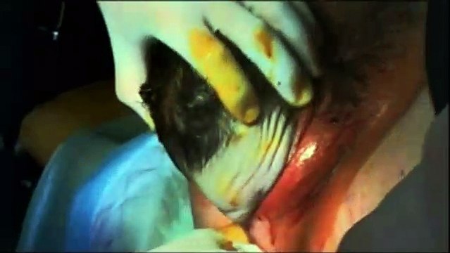 Nos amis les Terriens Bande-annonce VF