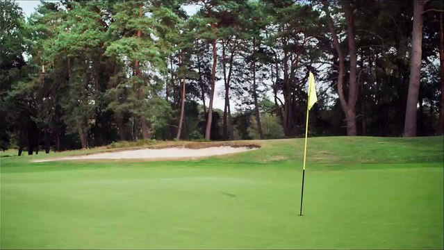 Tanguy, le retour Bande-annonce VF