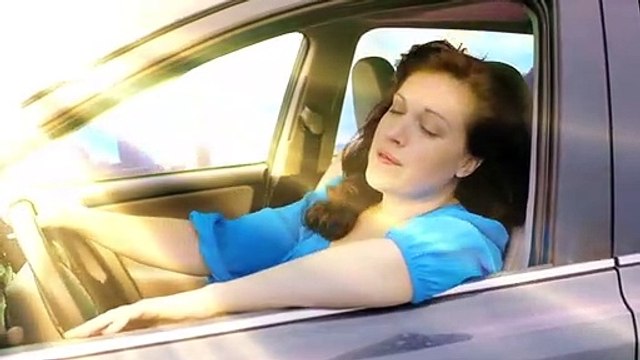 Downward Dog - saison 1 Bande-annonce VO