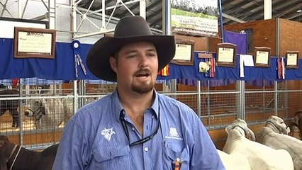 Flood-affected farmers push through tough times to get to the Sydney Royal Easter Show
