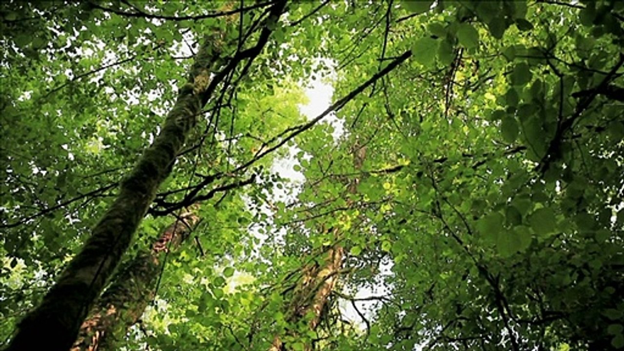 L’intérêt général et moi Bande-annonce VF