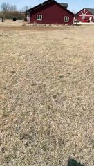 Young Weatherman Gives First Report on 'Smokenado'