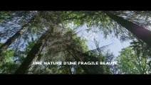 Dans les bois Bande-annonce VF