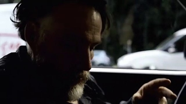 Tous les Chats sont gris Teaser VF