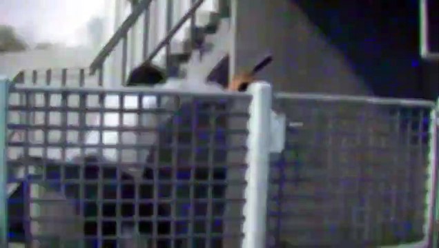 Bande-annonce Jeu vidéo 1 - Anglais