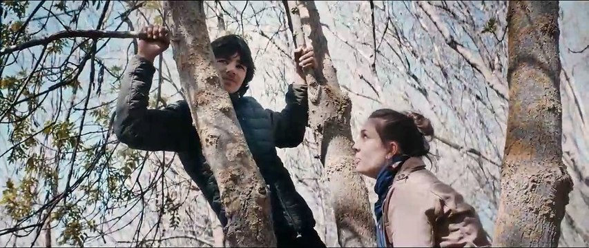 Tom Medina EXTRAIT VF L'arbre