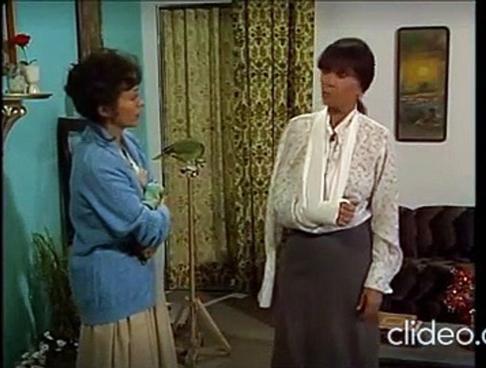 Rosa salvaje-capitulo-87