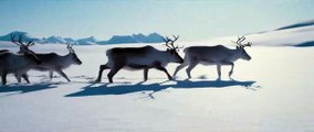 Aïlo : une odyssée en Laponie EXTRAIT VF 