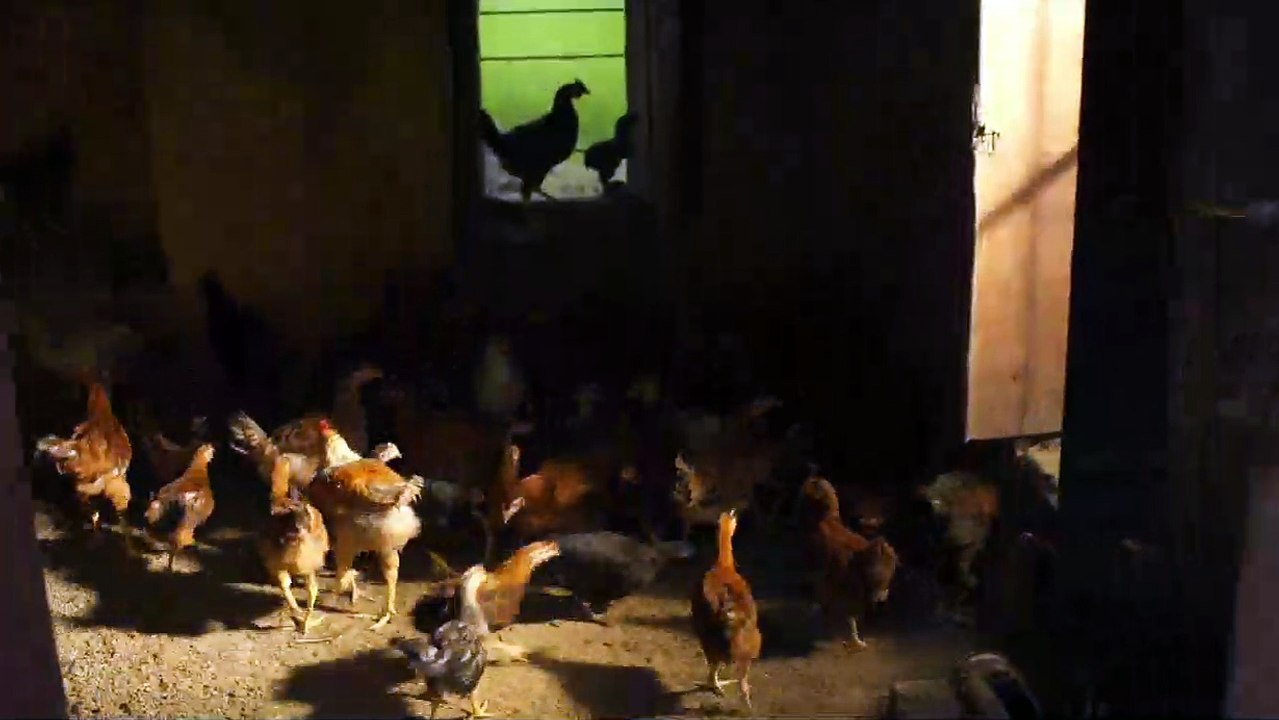 La Quatrième Voie (Chauthi Koot) Bande-annonce VO