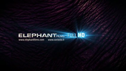 Chacal TEASER par Julien Comelli