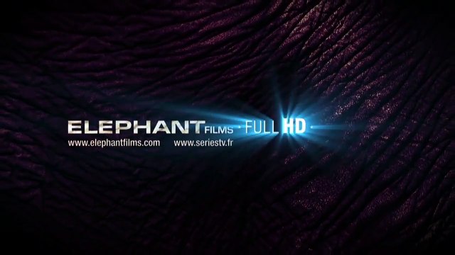 Chacal TEASER par Julien Comelli