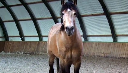 Le Caravage Bande-annonce VF