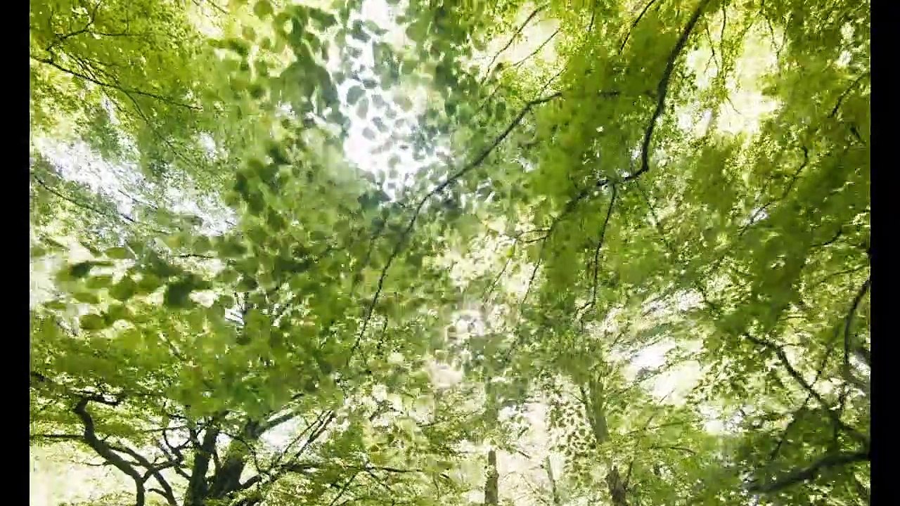 Les Sorcières d'Akelarre Bande-annonce VO