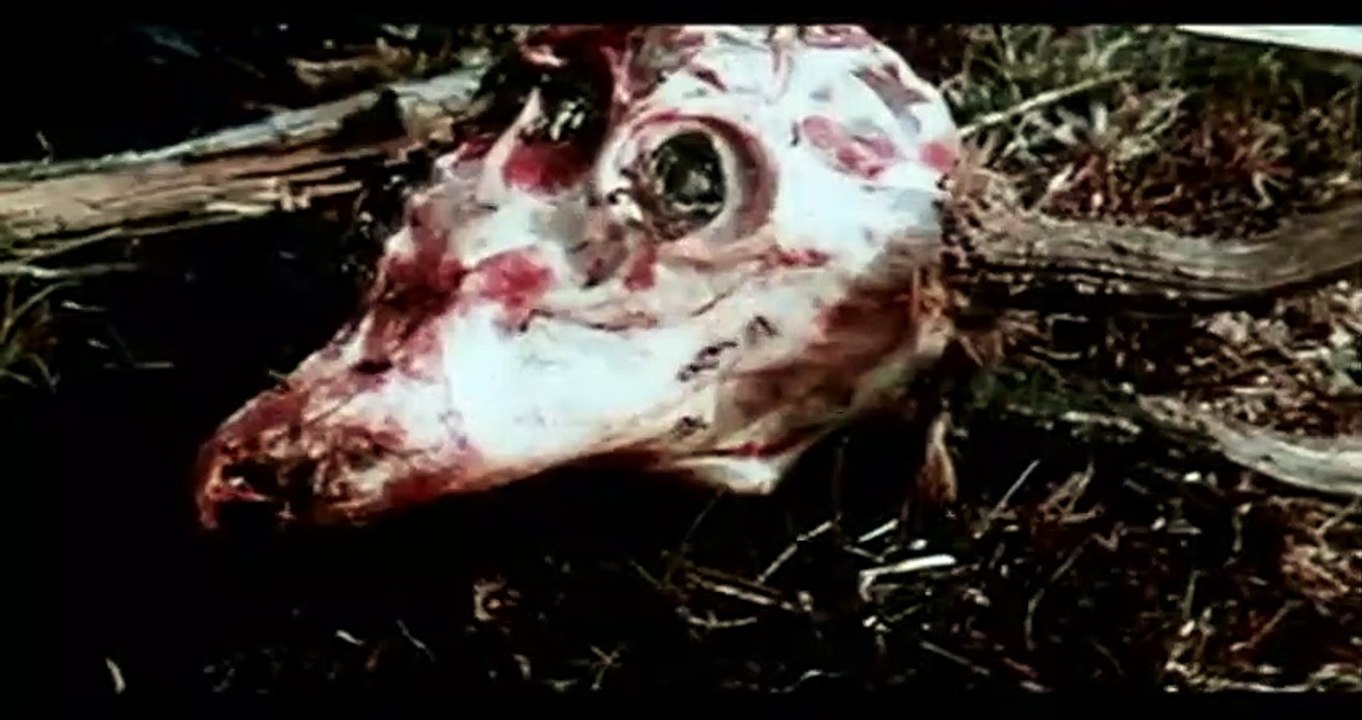 Terre brûlée Bande-annonce VO