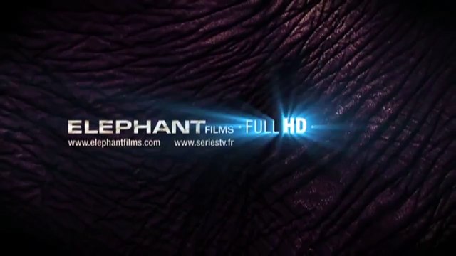 All I Desire Bande-annonce VO