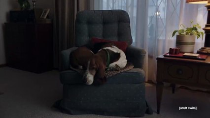 Joe Pera Talks with You - saison 3 Teaser VO