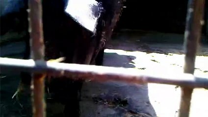 Addicts - saison 1 Extrait vidéo (14) VF