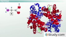 Major Elements in Biological Molecules- Proteins, Nucleic Acids, Carbohydrates & Lipids