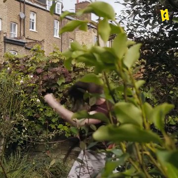 Locked Down : Nous vivions exactement ce que vivaient les personnages