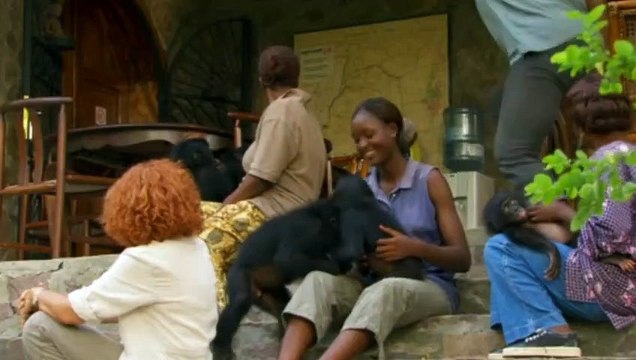 Bonobos Extrait vidéo VF