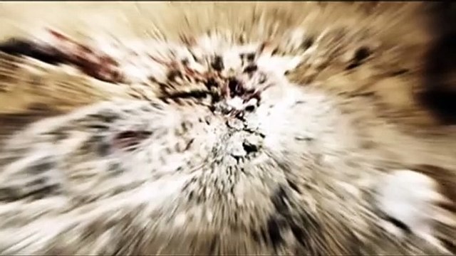 Zone of the Dead Bande-annonce VF