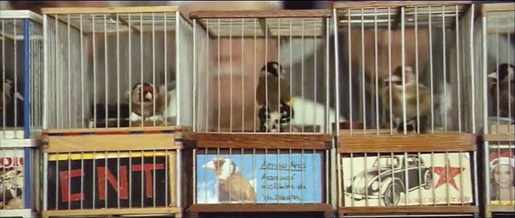 C&#039;est ici que je vis Bande-annonce VO