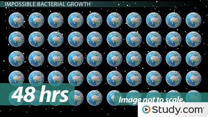 What IsBacterial Growth  & Generation Time- - Curves, Phases & Stages