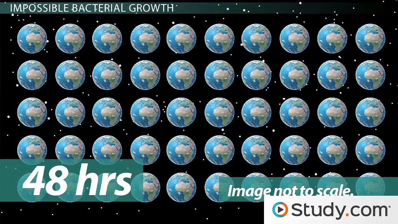 What IsBacterial Growth  & Generation Time- - Curves, Phases & Stages
