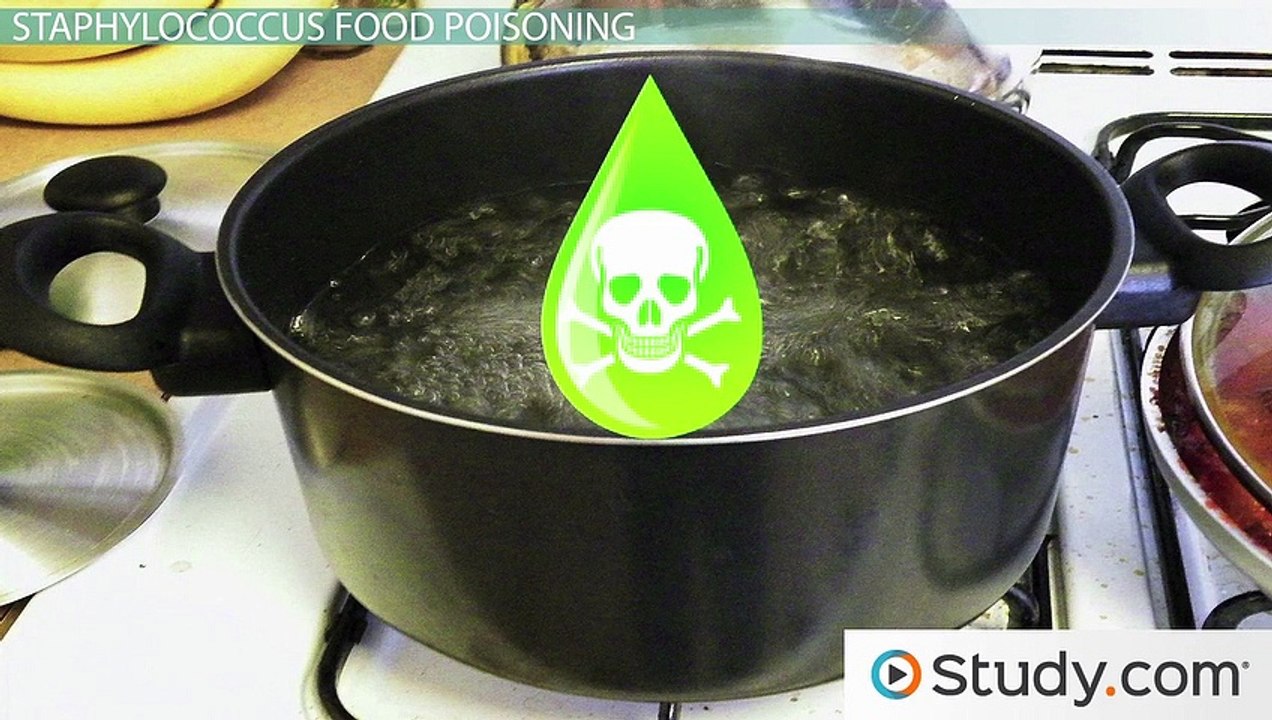 Food Poisoning from Staphylococcus Aureus Bacteria