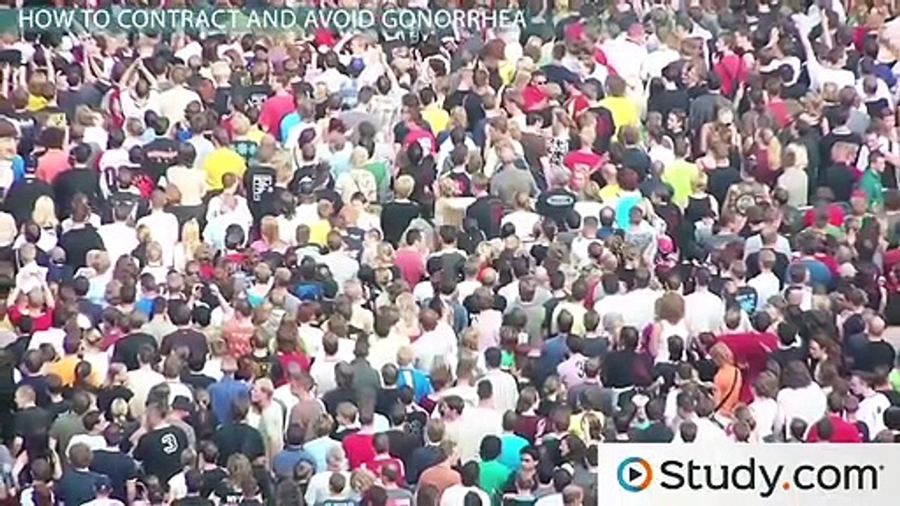 What Is Gonorrhea- - Cause, Symptoms & Cure -