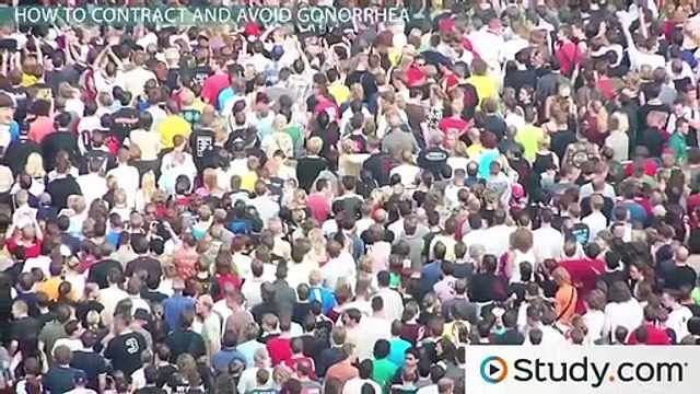 What Is Gonorrhea- - Cause, Symptoms & Cure -