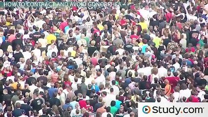 What Is Gonorrhea- - Cause, Symptoms & Cure -