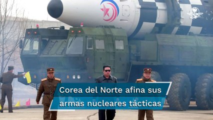 Video herunterladen: Corea del Norte prueba sistema para mejorar el uso de 