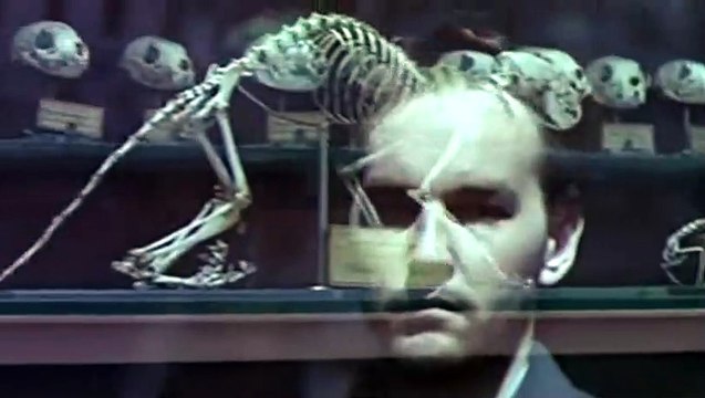 N'oublie pas que tu vas mourir Bande-annonce VF