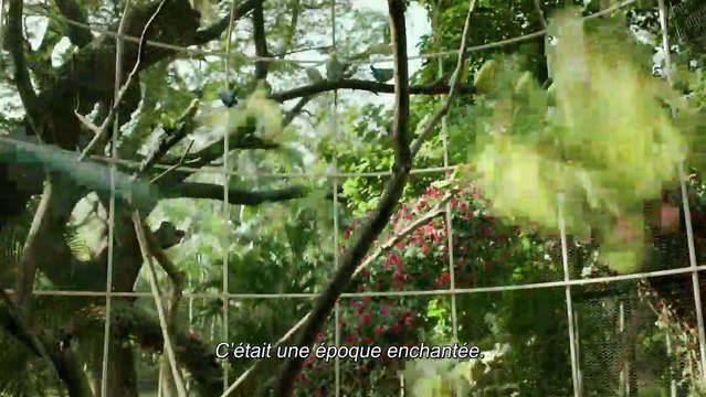 L'Odyssée de Pi Bande-annonce VO
