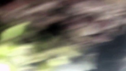 Pour Ernestine EXTRAIT "Cocaïne"