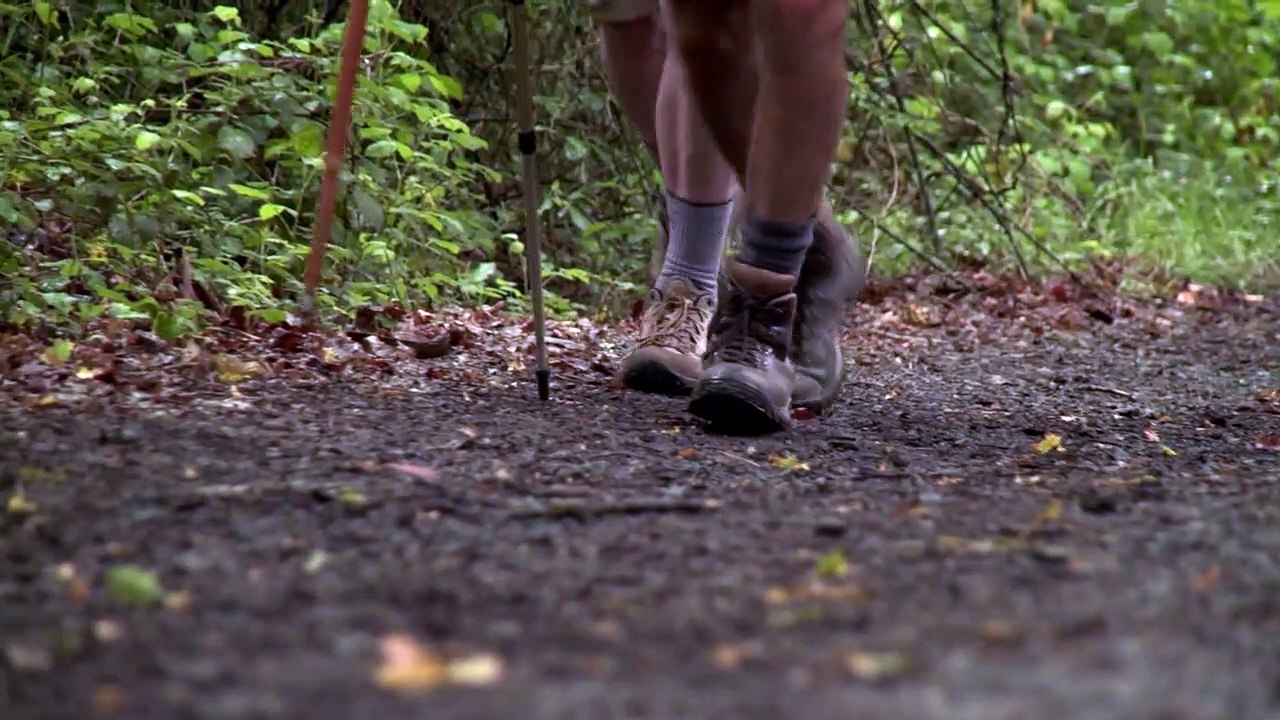 Les Chemins de Compostelle - EXTRAIT VF "Un pèlerinage"