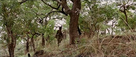 White Material Bande-annonce VF