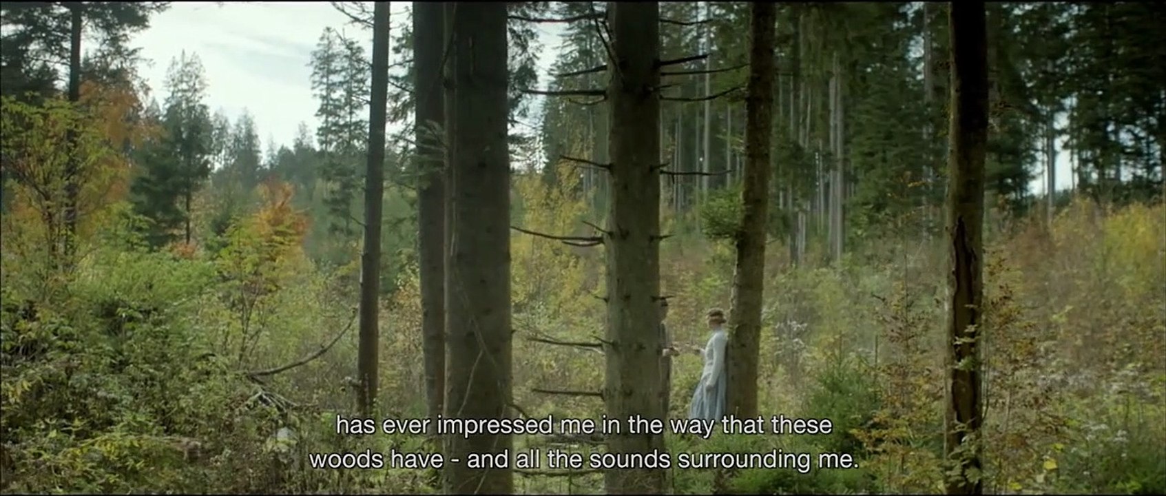 The Council of Birds Bande-annonce VO