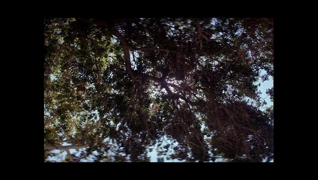 Lucy in the Sky Bande-annonce VO