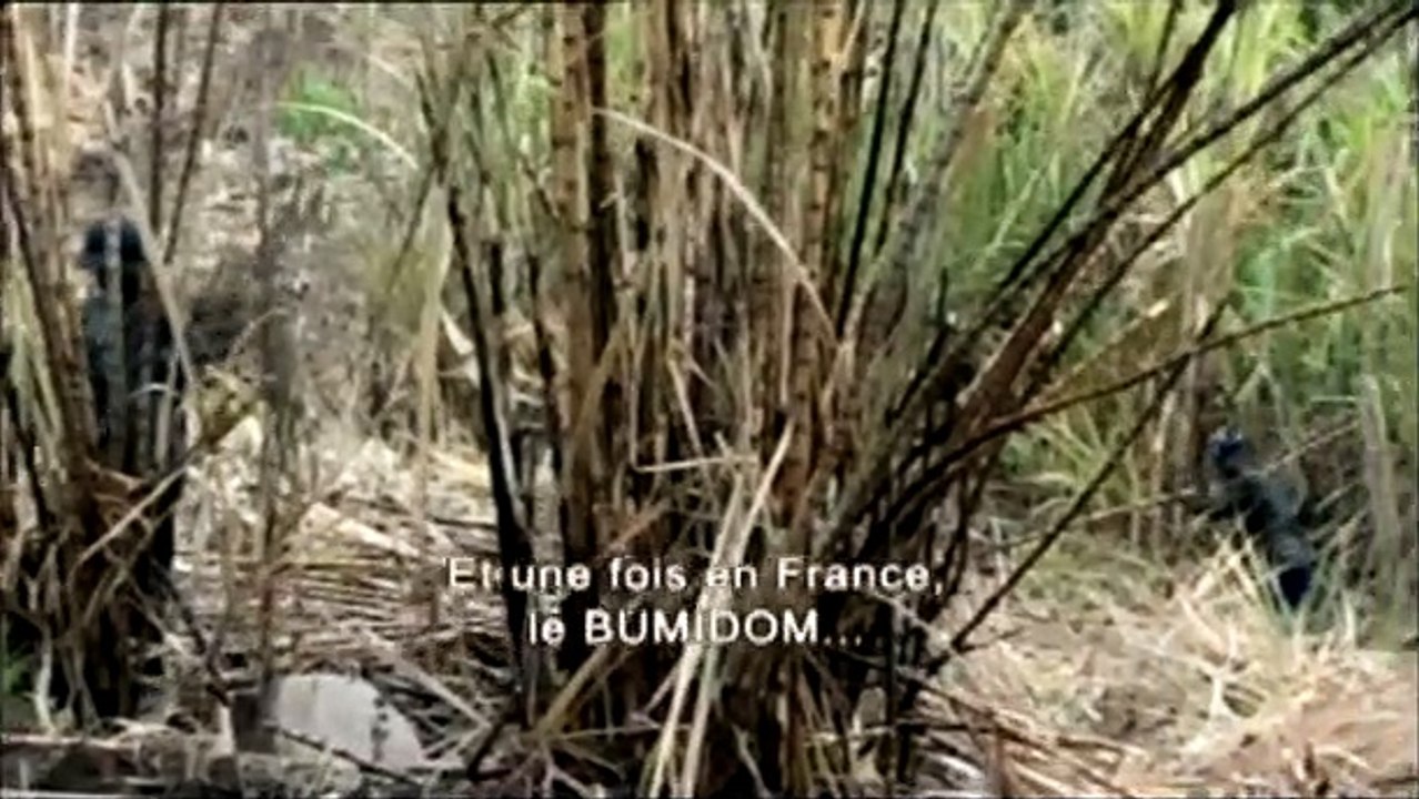 L'Avenir est ailleurs Bande-annonce VF