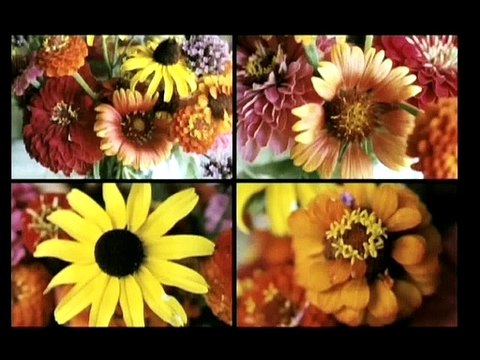 Jour après jour Bande-annonce VF