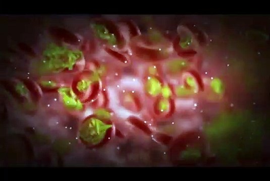 Terminachin-Haine 1 Bande-annonce VF